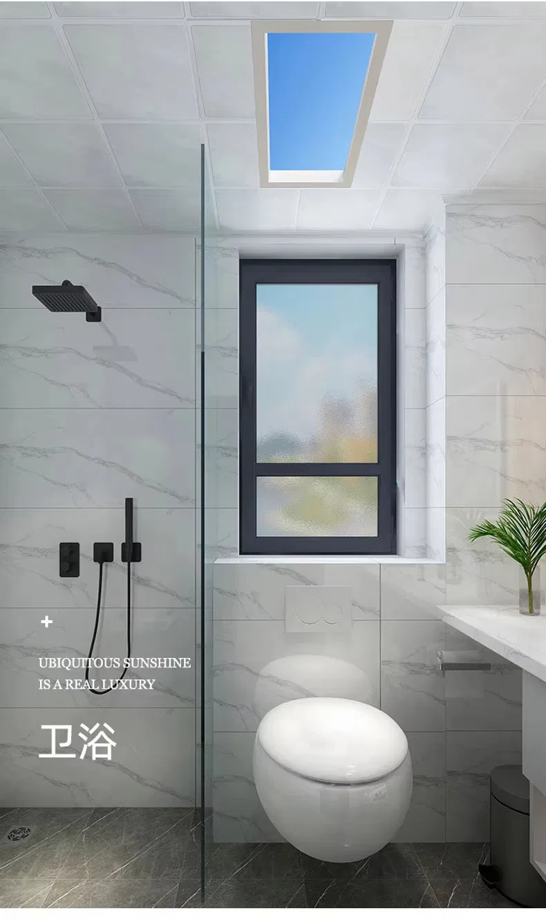 Artificial Skylight Display