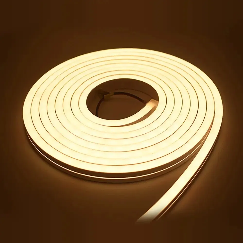 LED Neon Strip 5