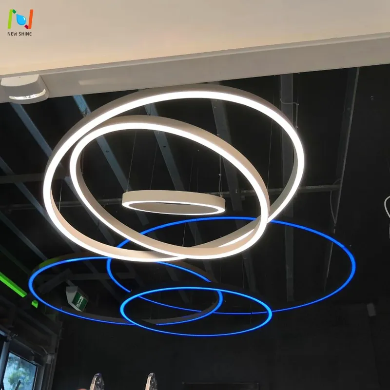 Up And Down Round Circle Ceiling LED Pendant Light