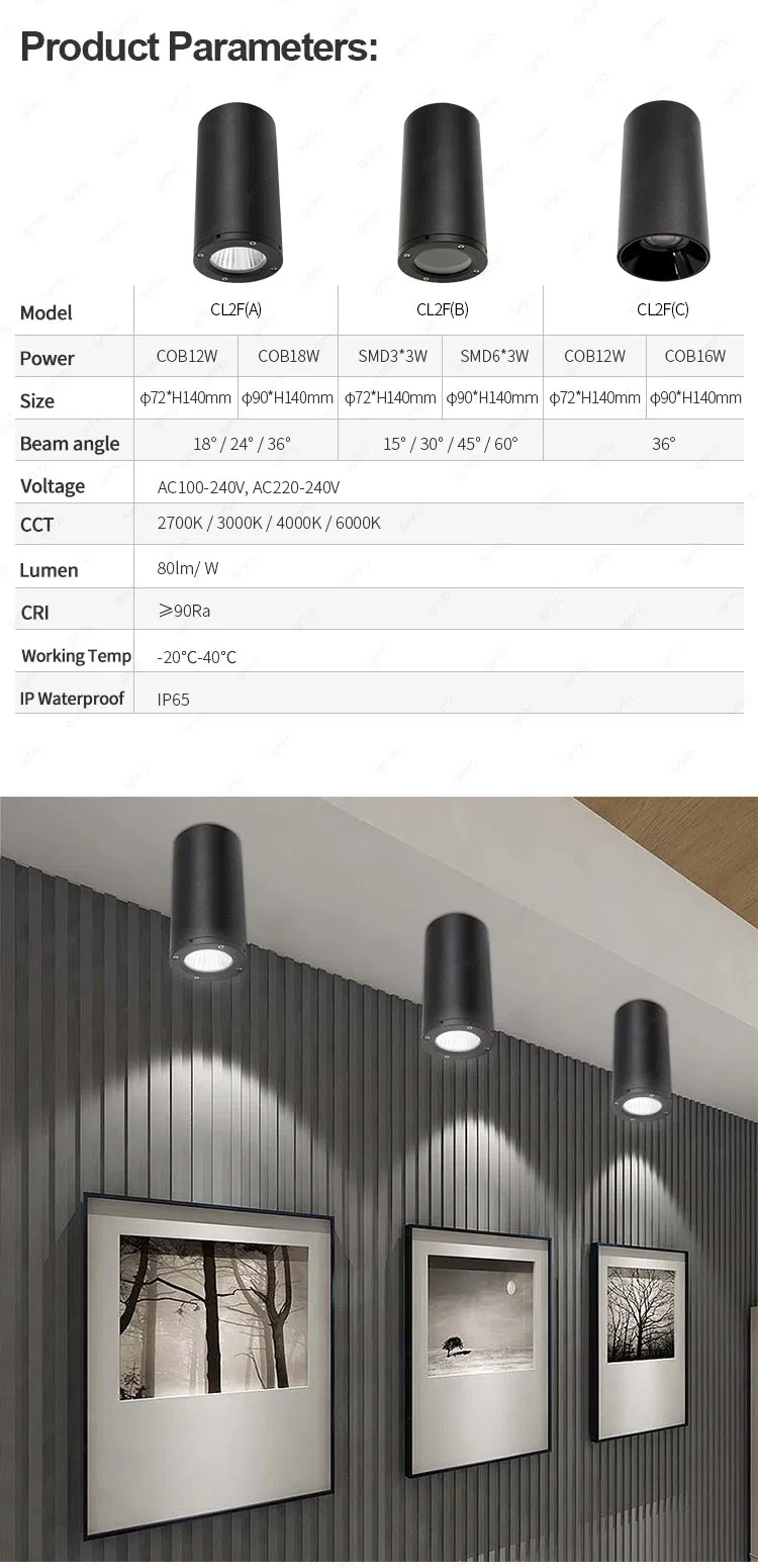 LED Downlight Detail 3