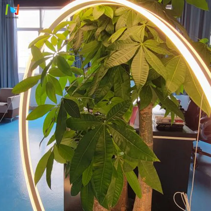 Suspended Light Fixture