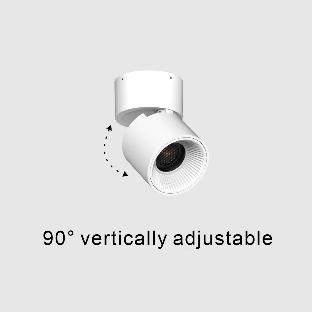 LED Downlight Detail 2