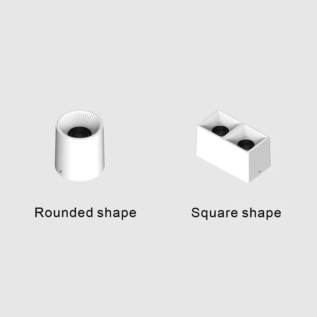 LED Downlight Detail 1