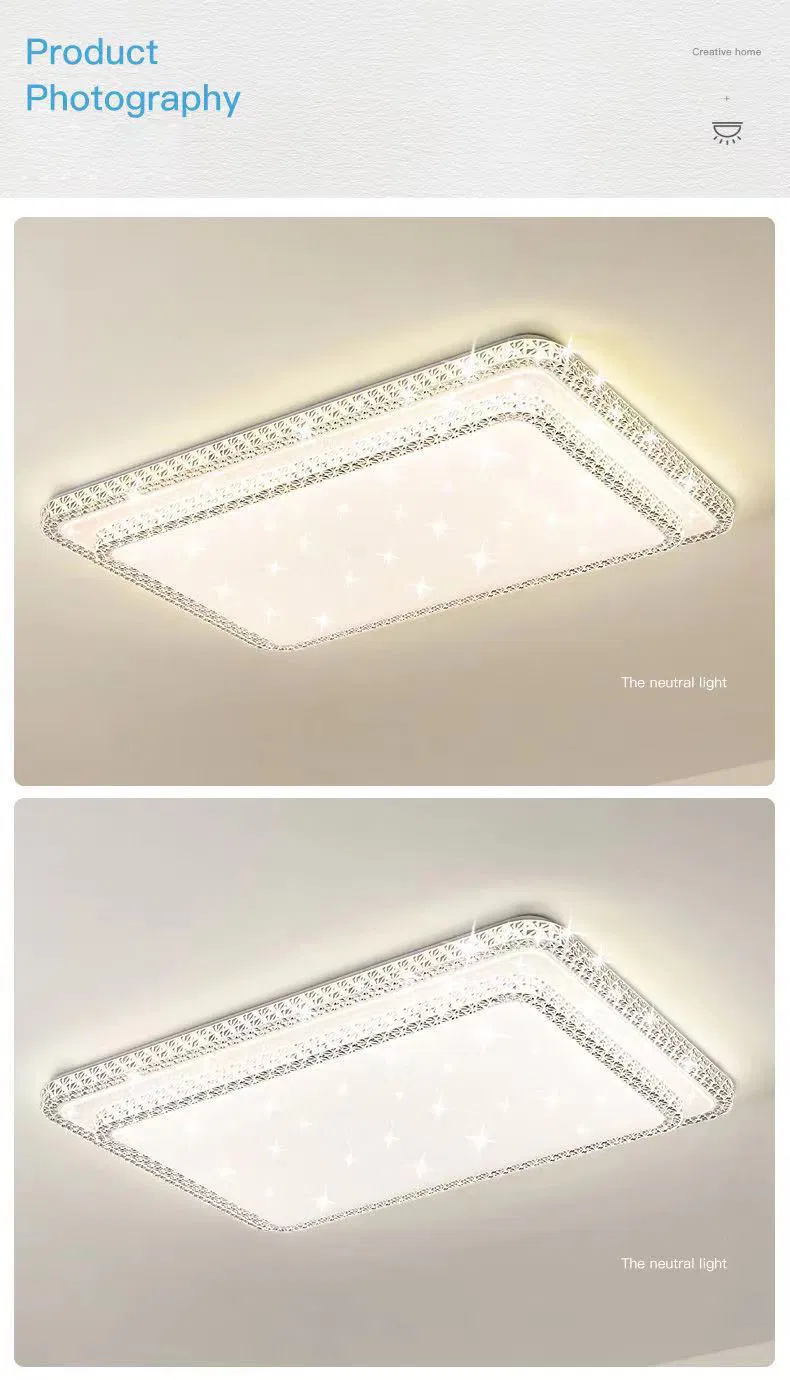 Ceiling Lamp Detail 4