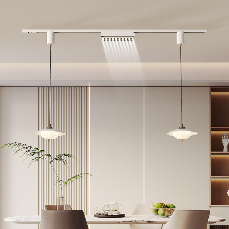 Modern Style Interior with Nordic Magnetic System Track Light, Living Room, Dining Room, LED Pendant Light (ZY-D023)