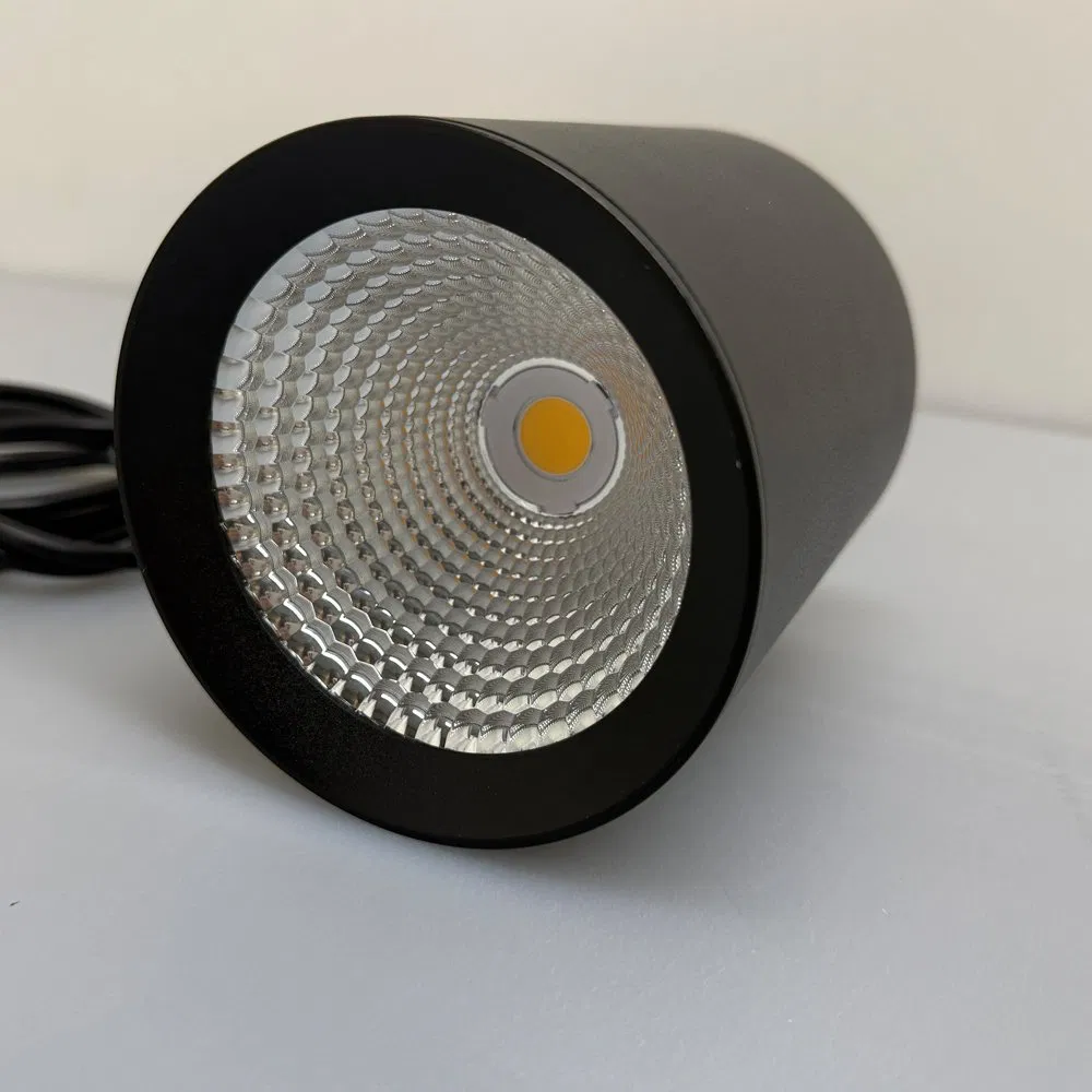 Surface Mounted LED Downlight COB Ceiling Spot Lights with 5 Years Warranty