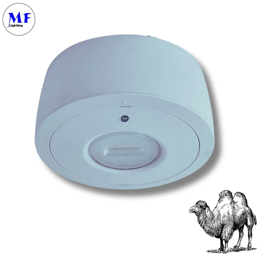 16+ Years Factory IP65 Battery 8W Rechargeable Public School Hospital Shopping Workshop Mall Panel Down Light LED Panic Emergency Escape Exit Sign Light