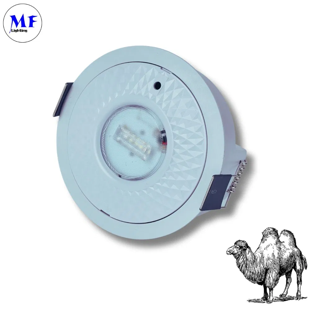 16+ Years Factory IP65 Battery 8W Rechargeable Public School Hospital Shopping Workshop Mall Panel Down Light LED Panic Emergency Escape Exit Sign Light