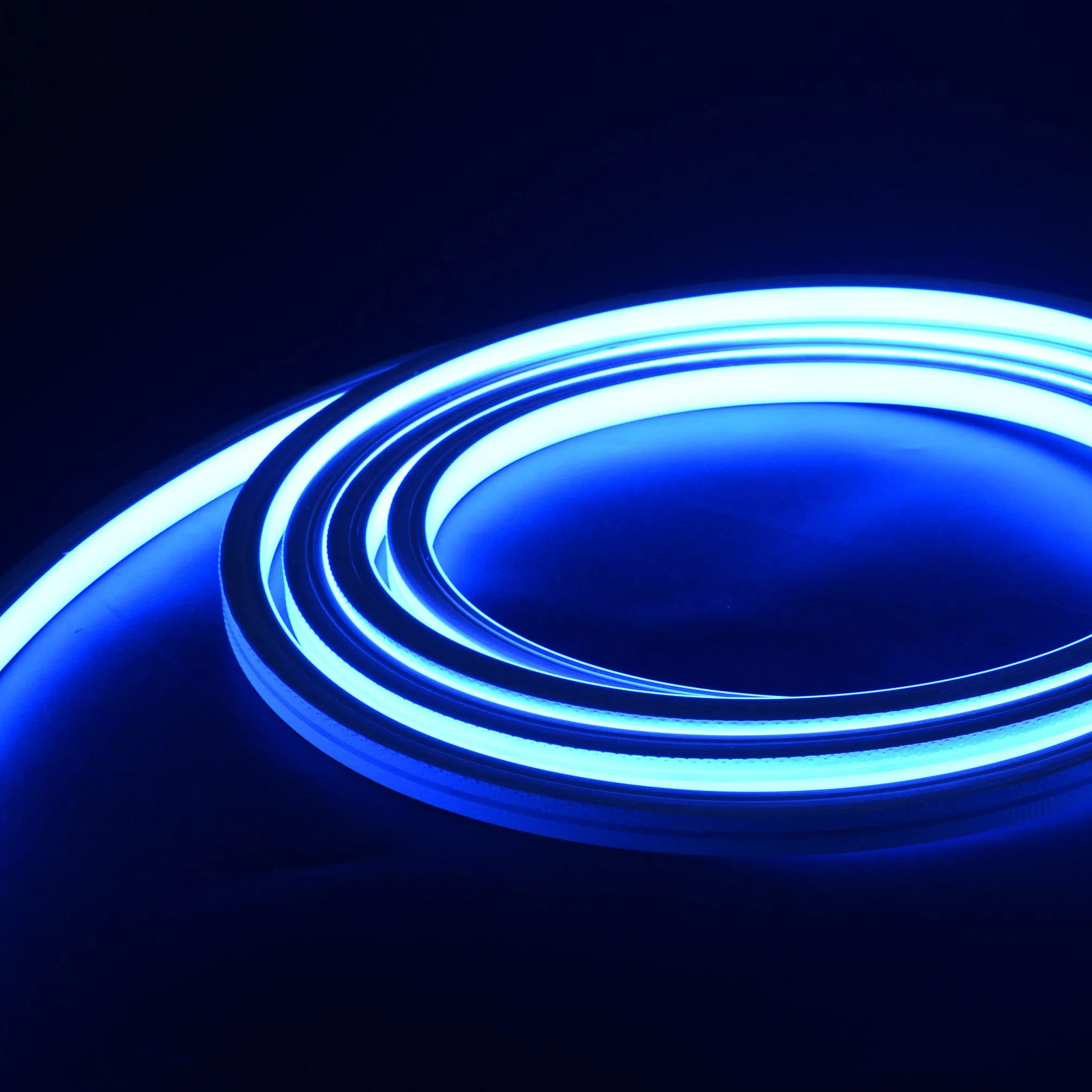 12V 24V Flex Decorative Cove Outdoor IP67 SMD2835 LED Strip Neon for Facade Silicon Light