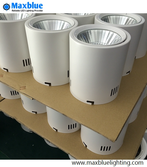 LED COB Surface Mounted Downlight Black Light LED Lighting with Ce RoHS