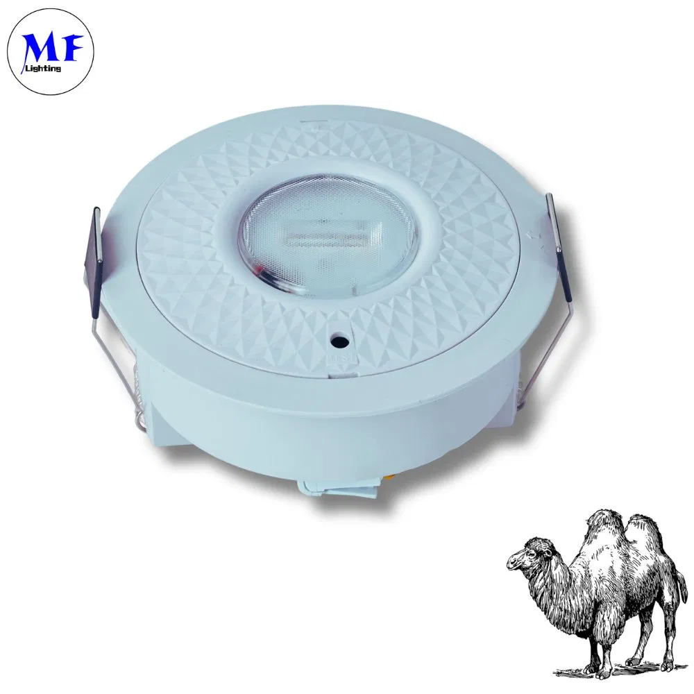 16+ Years Factory IP65 Battery 8W Rechargeable Public School Hospital Shopping Workshop Mall Panel Down Light LED Panic Emergency Escape Exit Sign Light