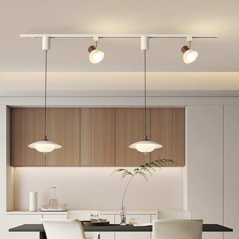 Modern Style Interior with Nordic Magnetic System Track Light, Living Room, Dining Room, LED Pendant Light (ZY-D023)