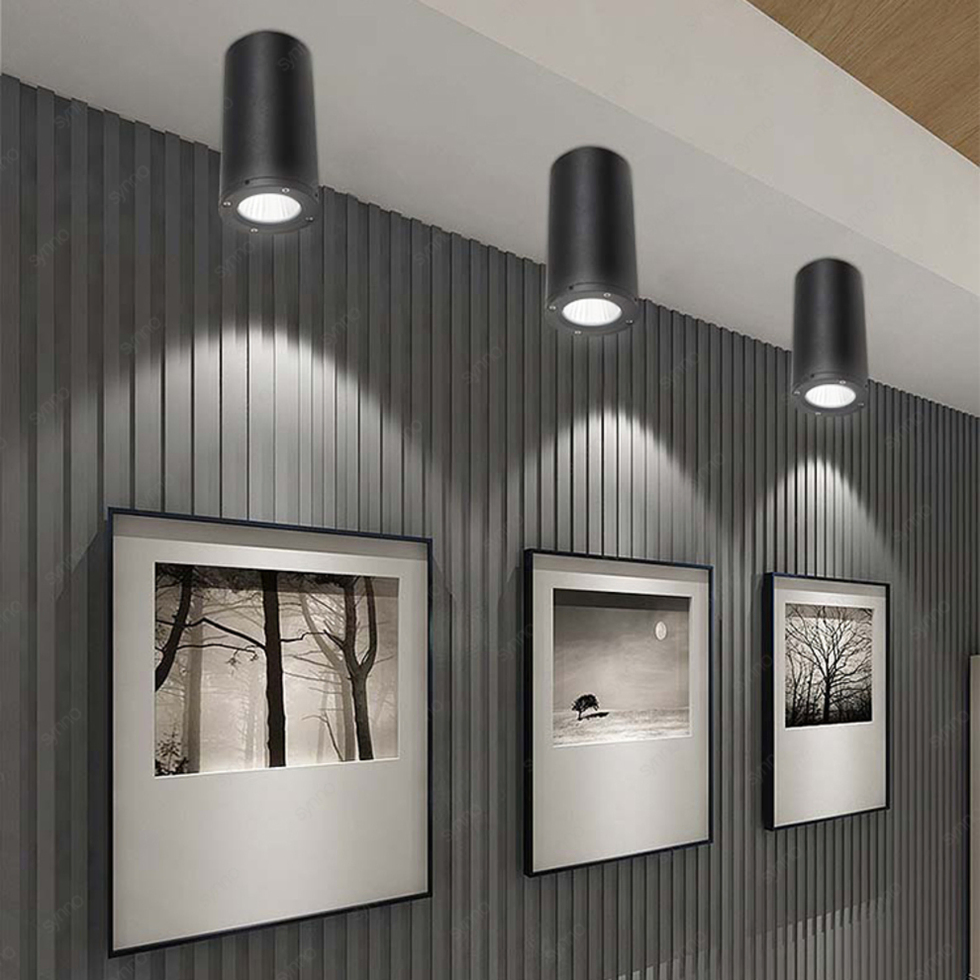 Cylinder White Black Downlight Surface Mounted Aluminum COB LED Down Light