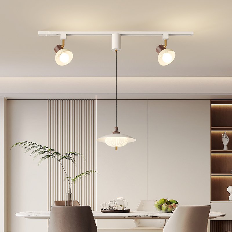 Modern Style Interior with Nordic Magnetic System Track Light, Living Room, Dining Room, LED Pendant Light (ZY-D023)
