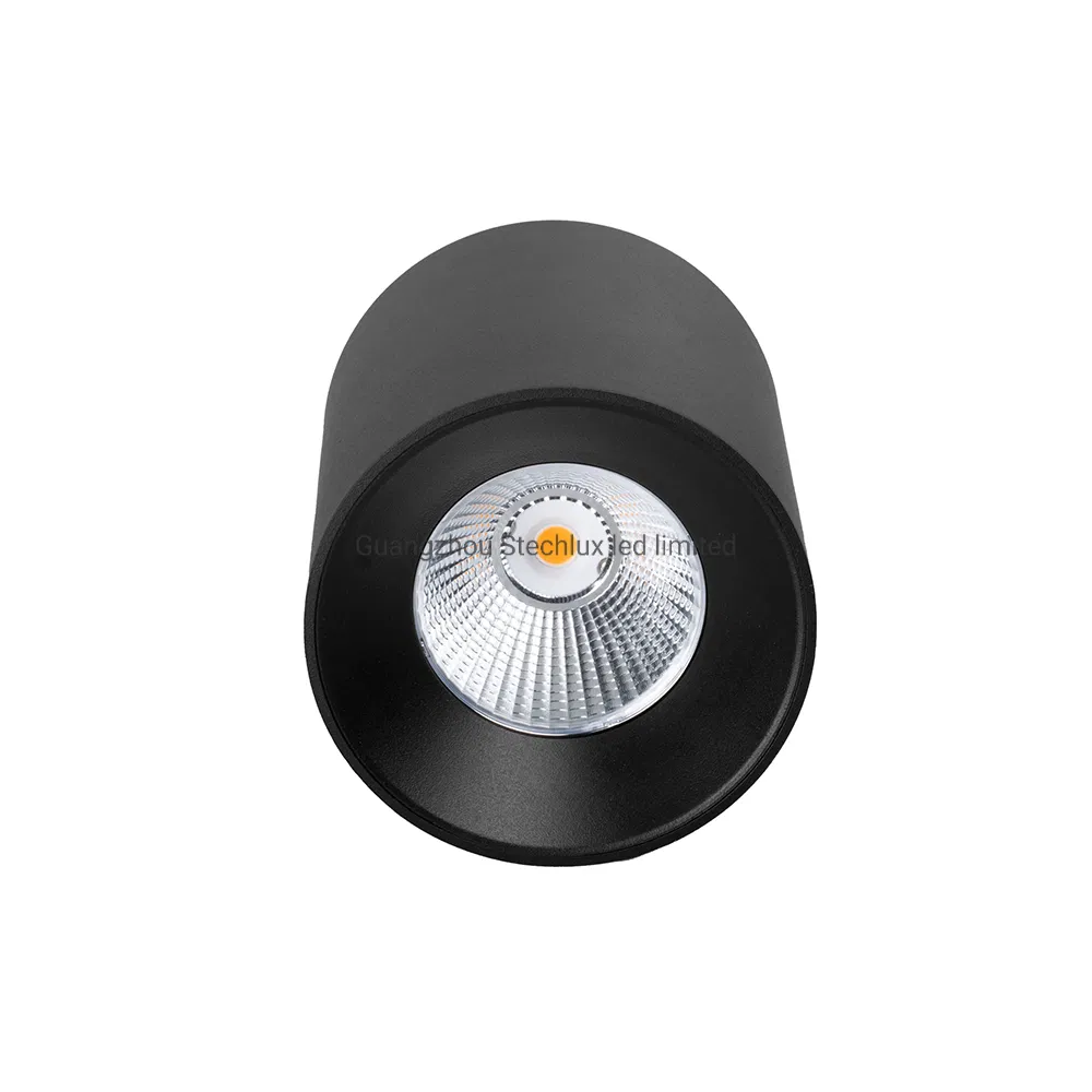 Long Lifespan IP44 Dimmable 10W Surface Mounted COB LED Downlight