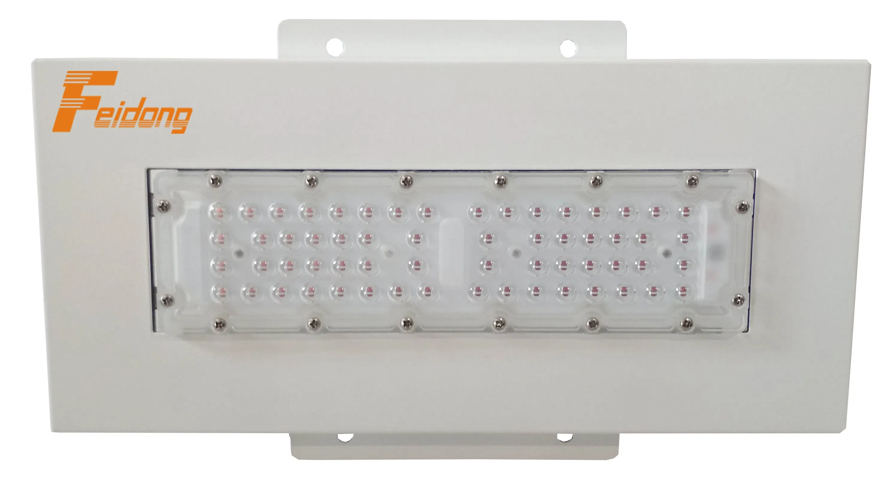 LED Canopy Light Special Design Gas Station Lighting