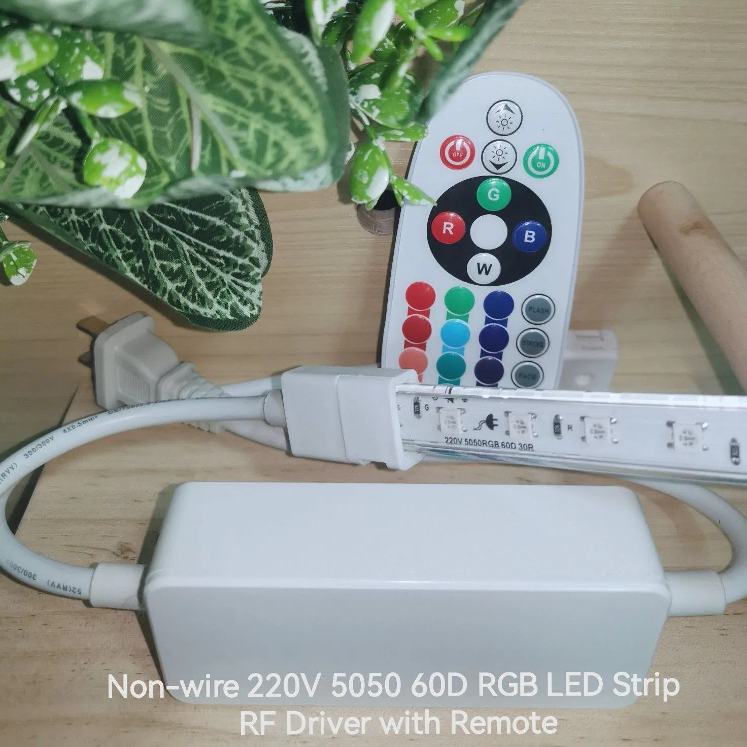 220V Strip SMD5050RGB 60d LED Strip Light