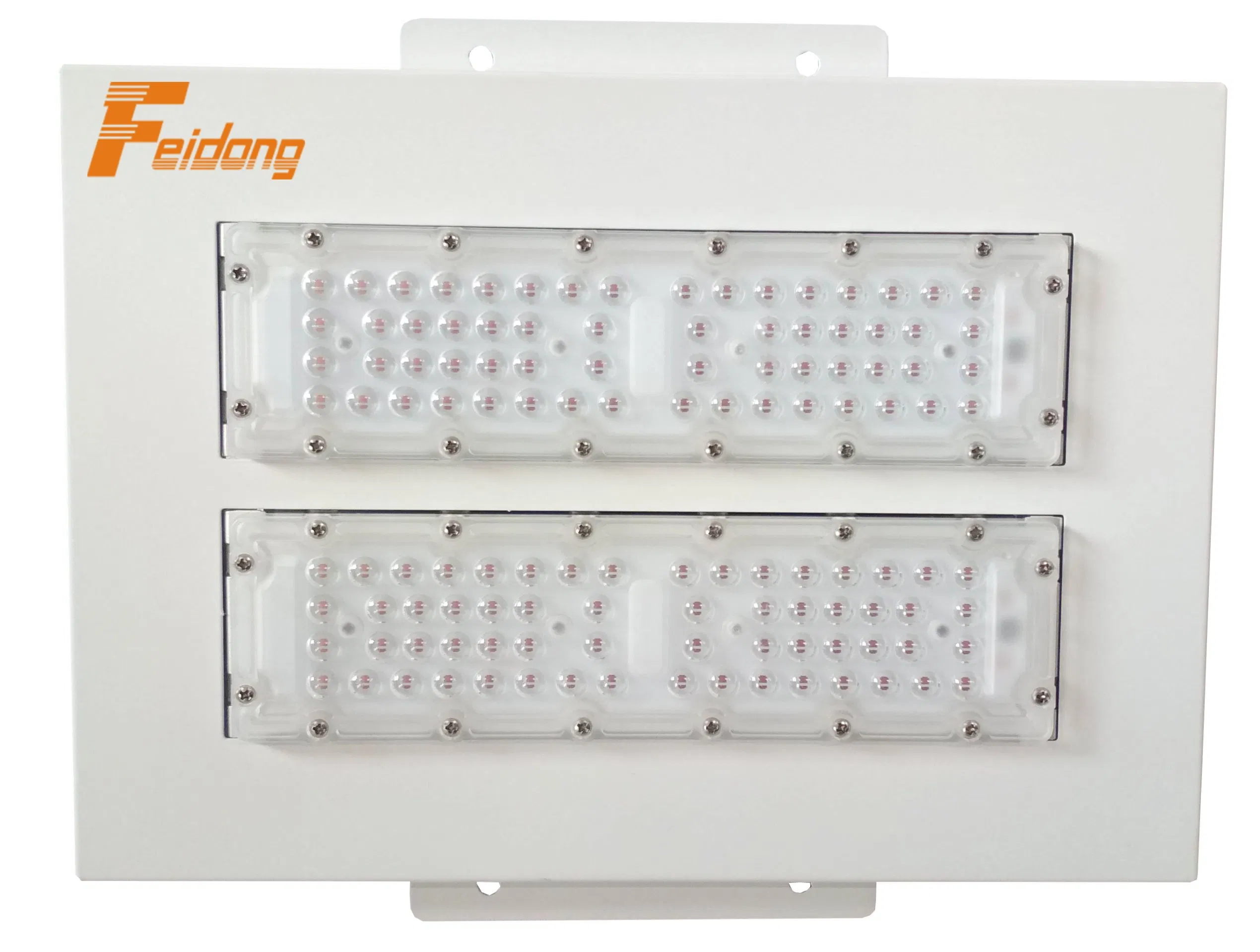 LED Canopy Light Special Design Gas Station Lighting