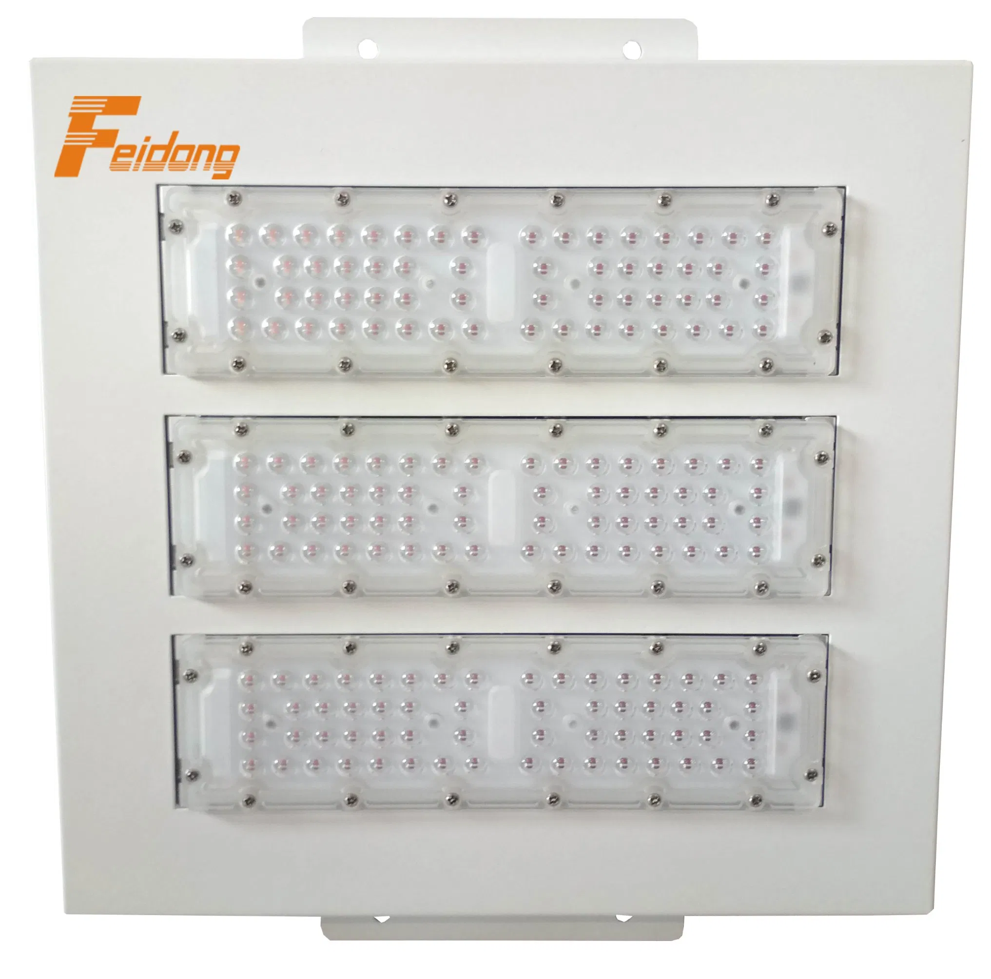 LED Canopy Light Special Design Gas Station Lighting