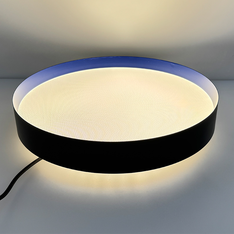 Modern Lighting Fixtures Flush Mount LED Circles Ceiling Light for Bedroom Hallway Ring Ceiling Chandelier Light