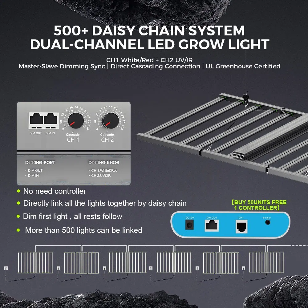 1200W High Efficiency LED Grow Light Higrowsir Jjd-1200 for 4X6FT Canopy Coverage 5-Year Warranty