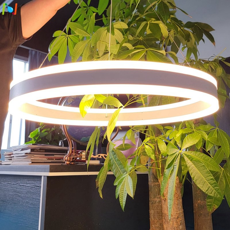 up 30W Down 30W Direct Indirect Pendant Light Circular Suspended Light Fixture