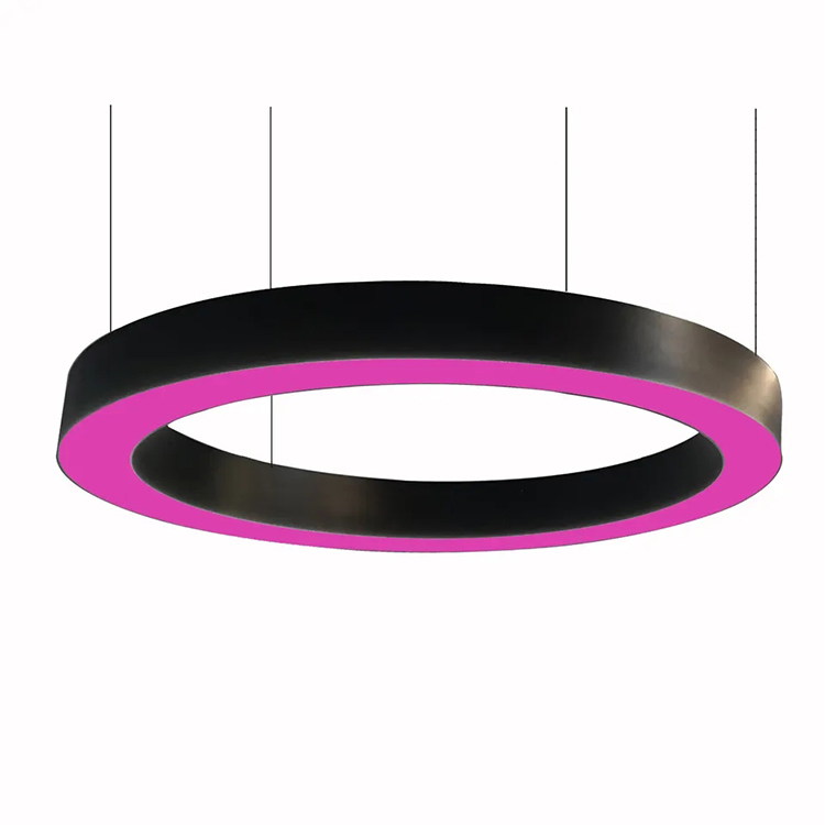Hot Sale Modern Design Linear Aluminum Office LED Batten up and Down Adjustable Ring LED Pendant Light with RGBW Color for Gym