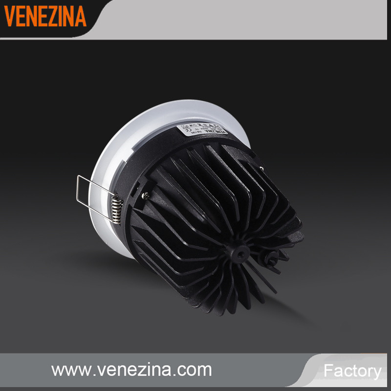 LED Down Light High Lumen LED Ceiling Light 30W COB Downlight