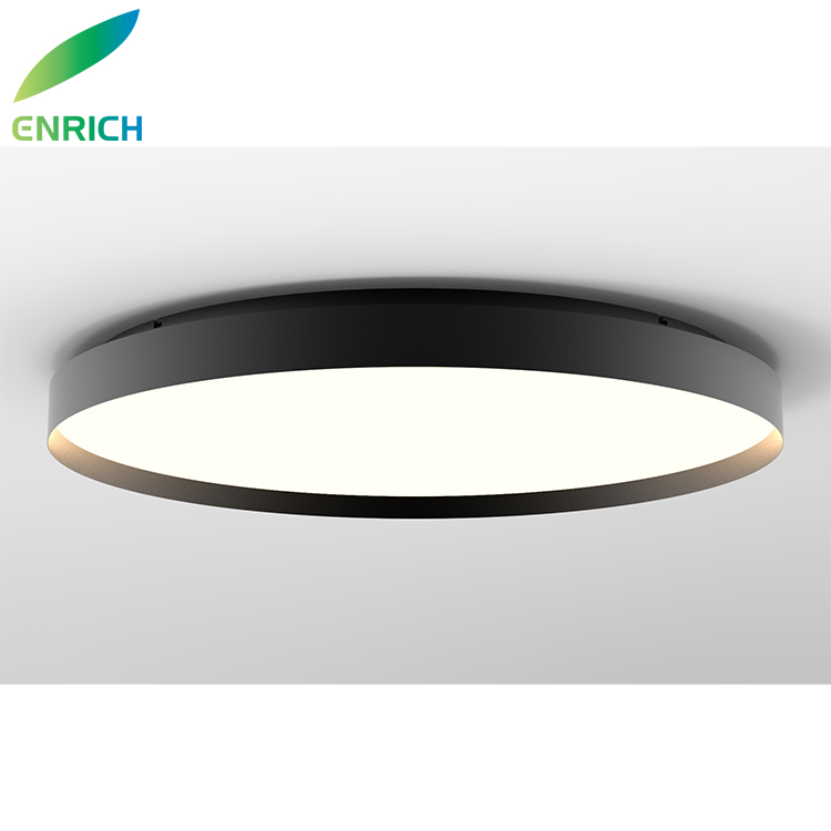 Modern Lighting Fixtures Flush Mount LED Circles Ceiling Light for Bedroom Hallway Ring Ceiling Chandelier Light