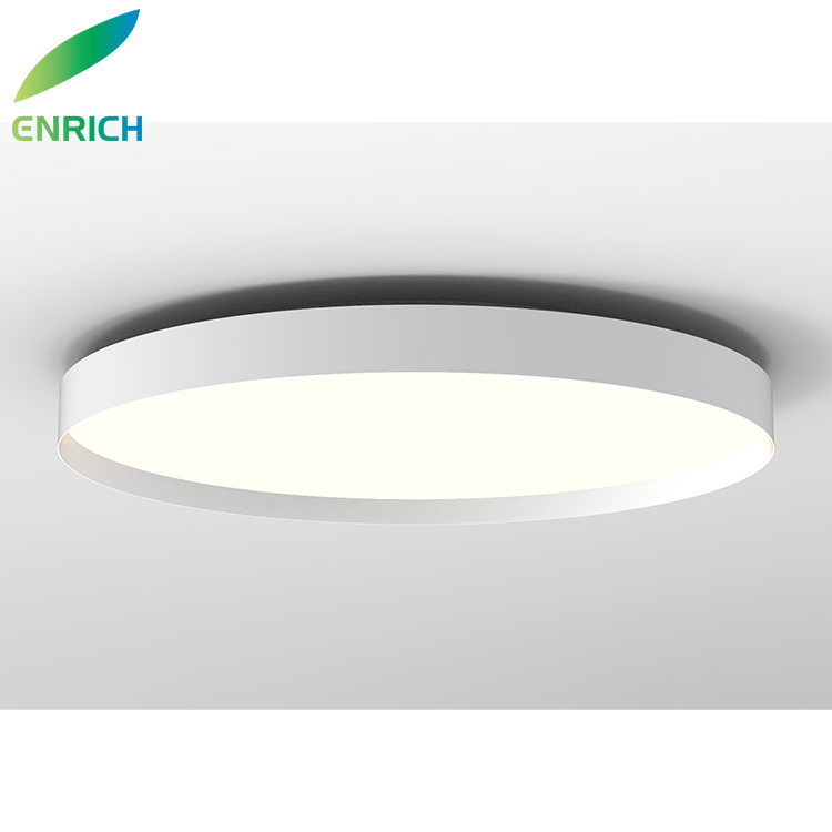 Modern Lighting Fixtures Flush Mount LED Circles Ceiling Light for Bedroom Hallway Ring Ceiling Chandelier Light