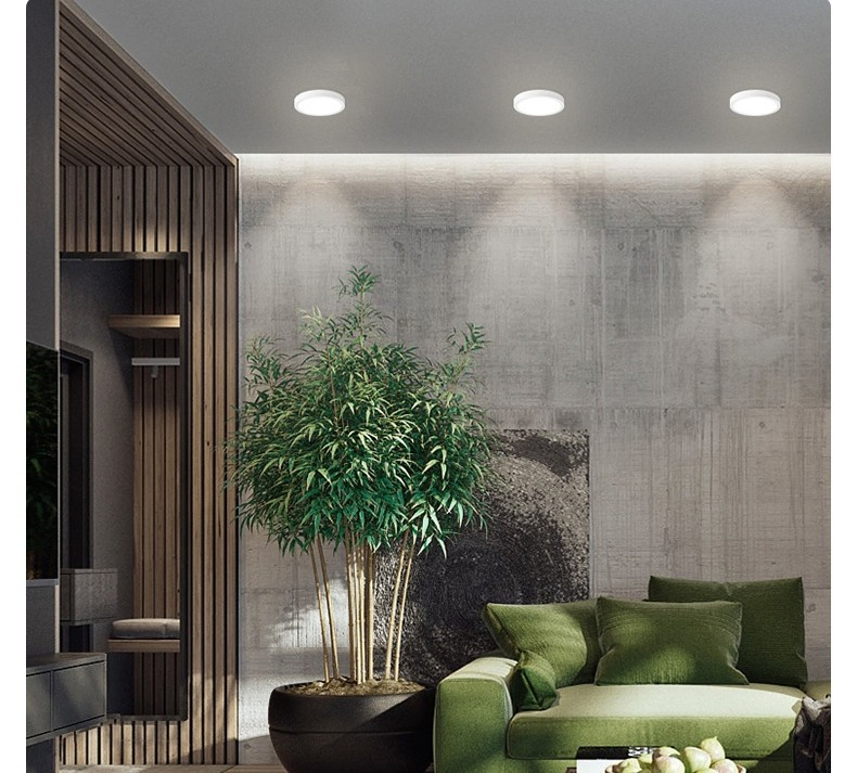 LED Downlight 18W 21cm Surface Mounted Ceiling Lamp AC 220V Round LED Panel Down Lights Spotlight for Living Room Lighting Downlight