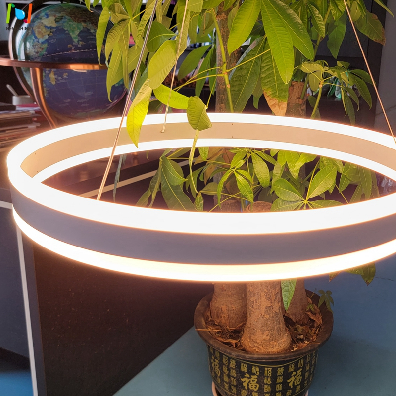 up 30W Down 30W Direct Indirect Pendant Light Circular Suspended Light Fixture