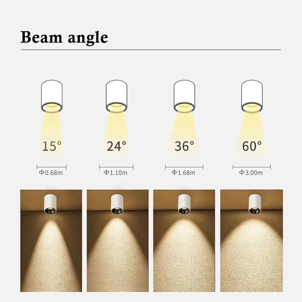 LED Downlight View 5