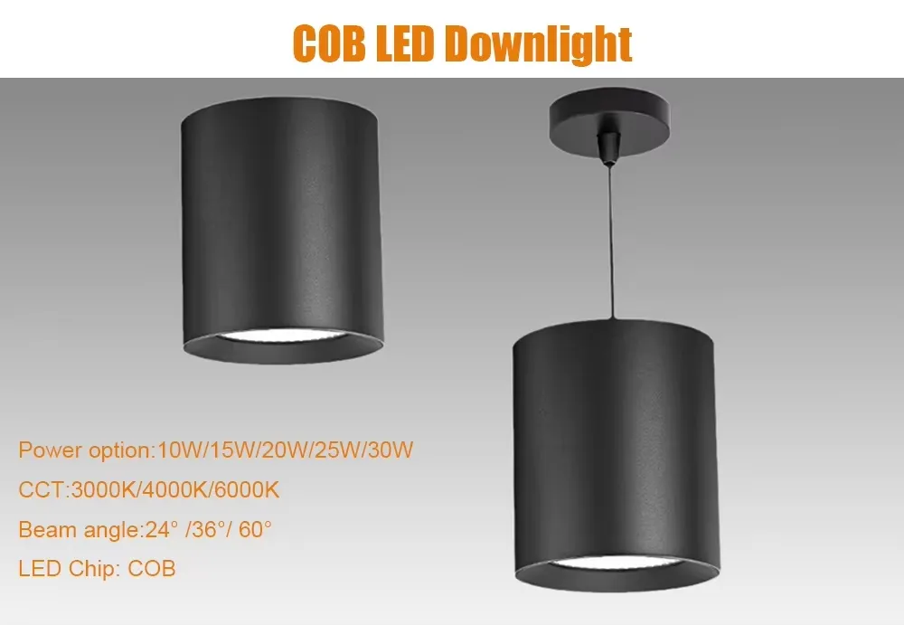 Surface Mounted LED Downlight