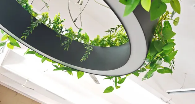 Circular Biophilic Light 1