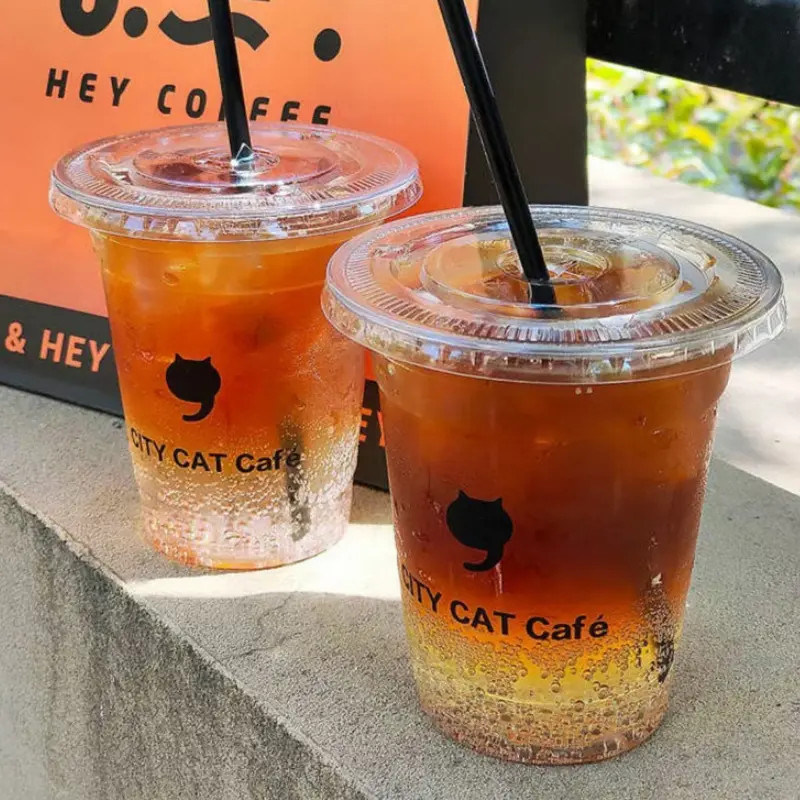 Custom Disposable PET Iced Coffee Cups Service, Factory