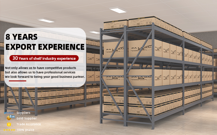 Export Experience