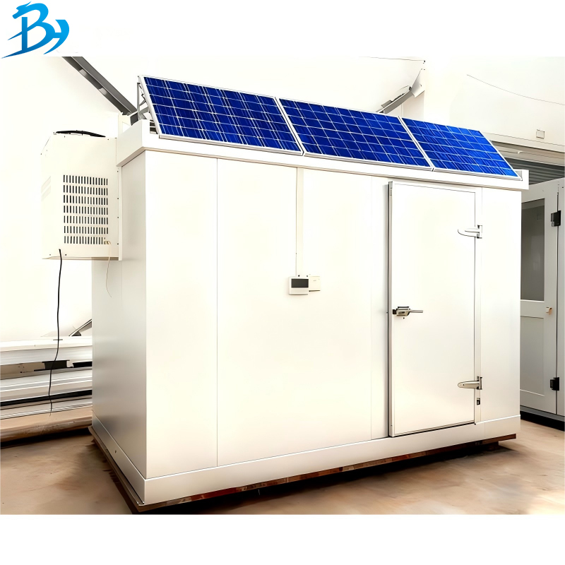 Solar Powered Mobile Box Type Double Door Cold Room Energy Saving Cold Storage For Food Preservation Solar Energy