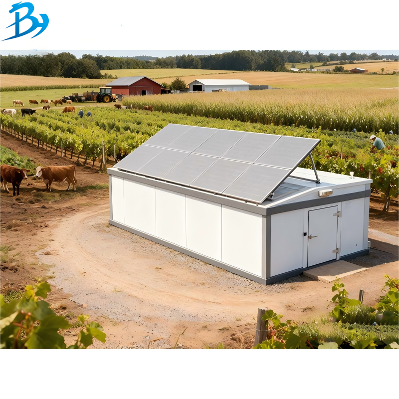 Solar Powered Mobile Box Type Double Door Cold Room Energy Saving Cold Storage For Food Preservation Solar Energy