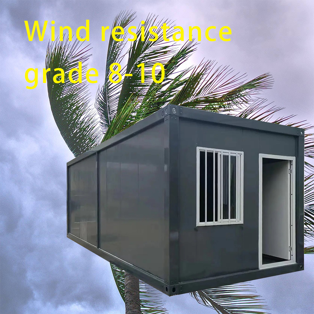 Wind Resistance Icon