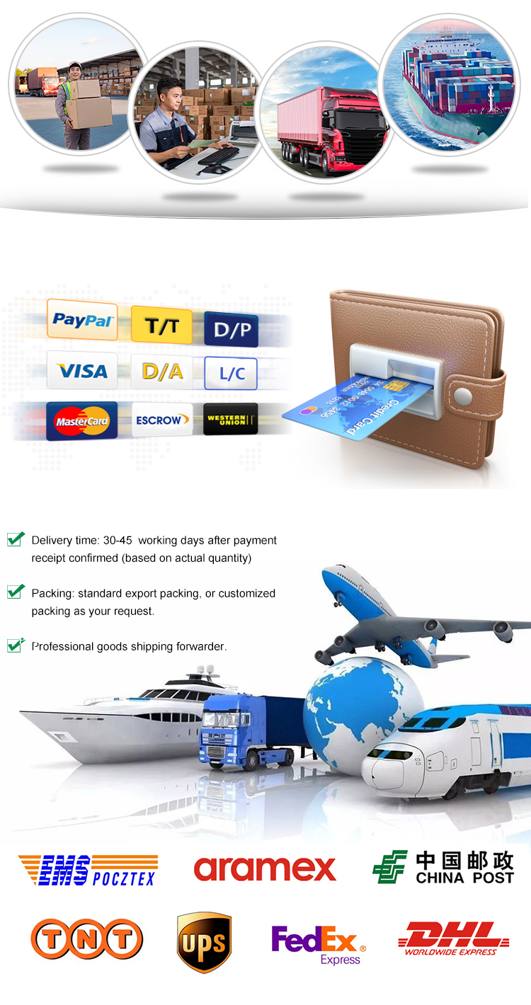 Transport and Payment Info