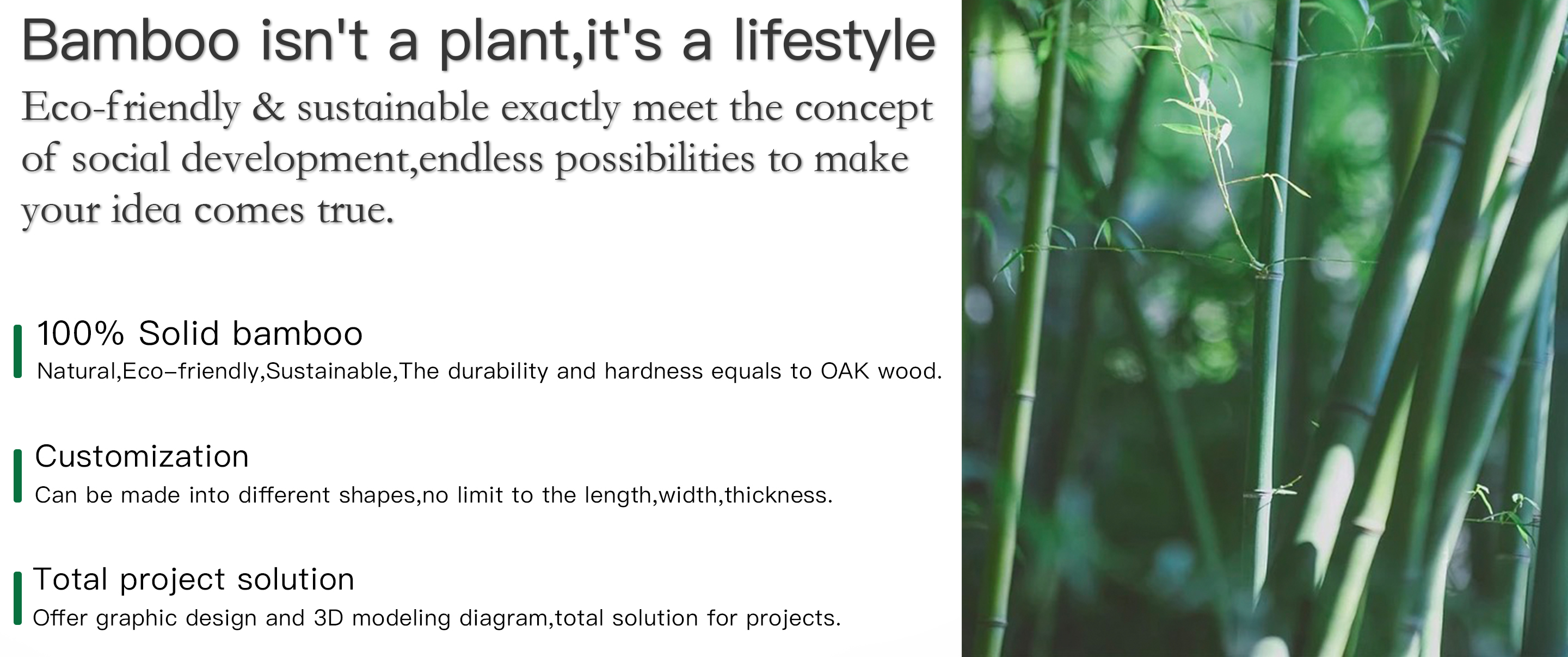 Why Bamboo Advantage 2