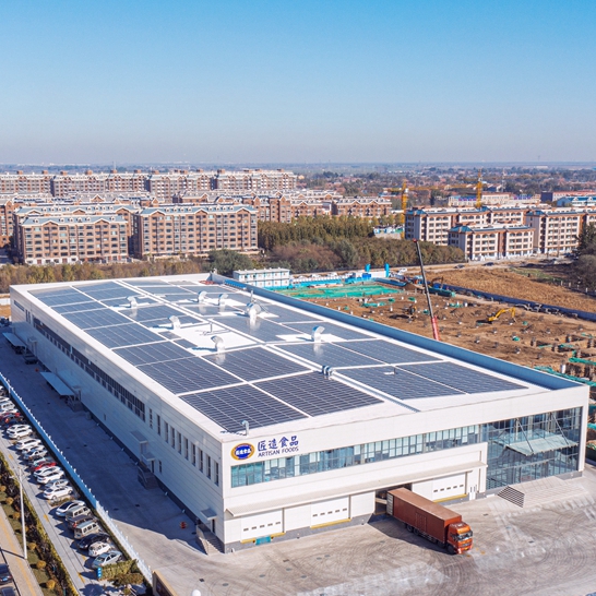 Professional Lightweight Prefabricated Steel Structure Building Design Modern New Design For Workshops