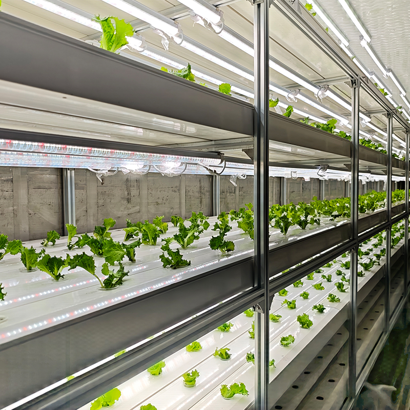 Mobile Hydroponic Greenhouse - Container Farm With Climate Control For Plant Factory Ready To Plant Right After Delivery