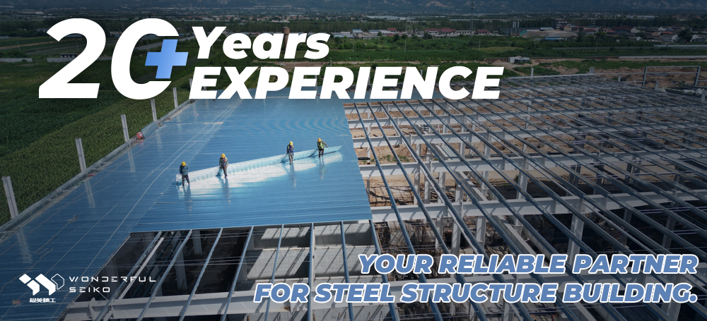 Steel Structure Building