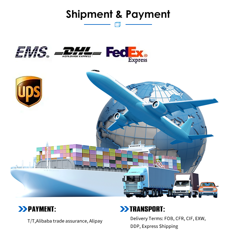 Global Shipping Layout