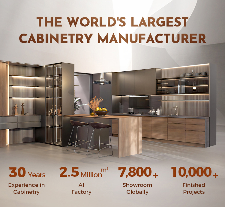 Product Showcase Banner
