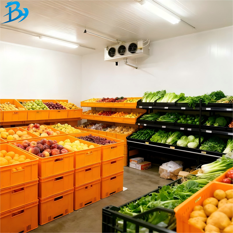 Solar Powered Mobile Box Type Double Door Cold Room Energy Saving Cold Storage For Food Preservation Solar Energy