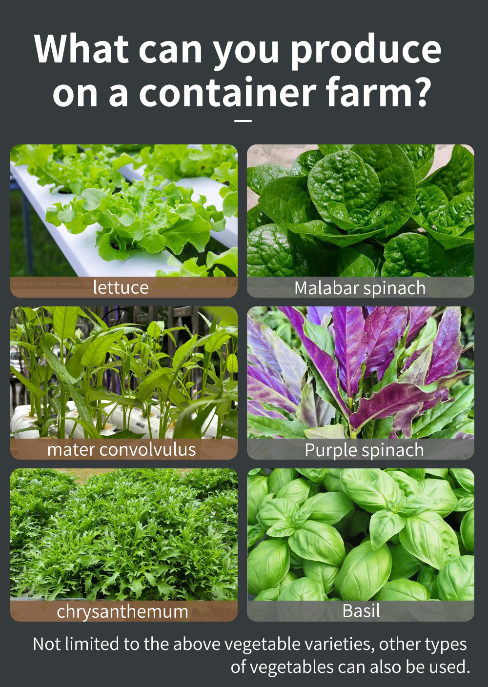 Mobile Hydroponic Greenhouse - Container Farm