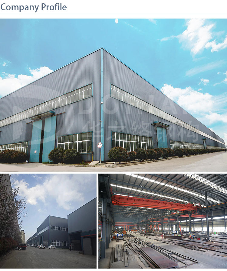 Steel Structure Customization Options
